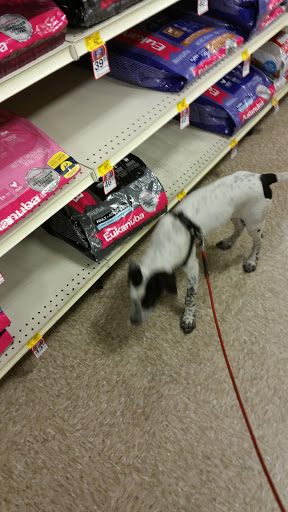 Pet Supply Store «PetSmart», reviews and photos, 5435 W TX-1604 Loop N, San Antonio, TX 78253, USA