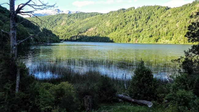 Opiniones de Lago Totoral en Puerto Montt - Camping