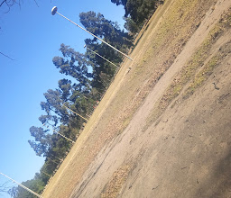 Coronation Park photo