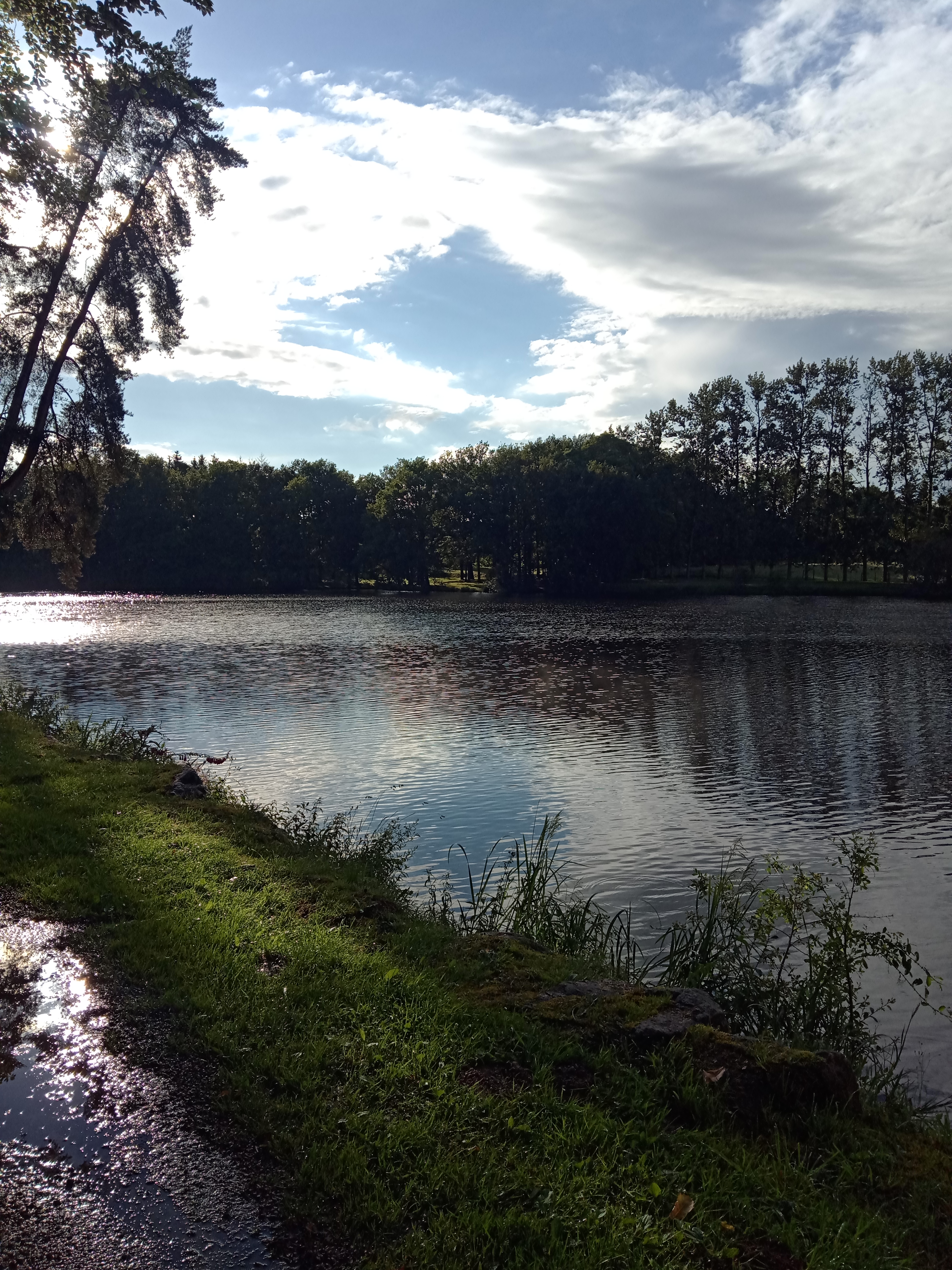 Photo n° 11 de l'avis de Route.a fait le 10/07/2021 à 19:50