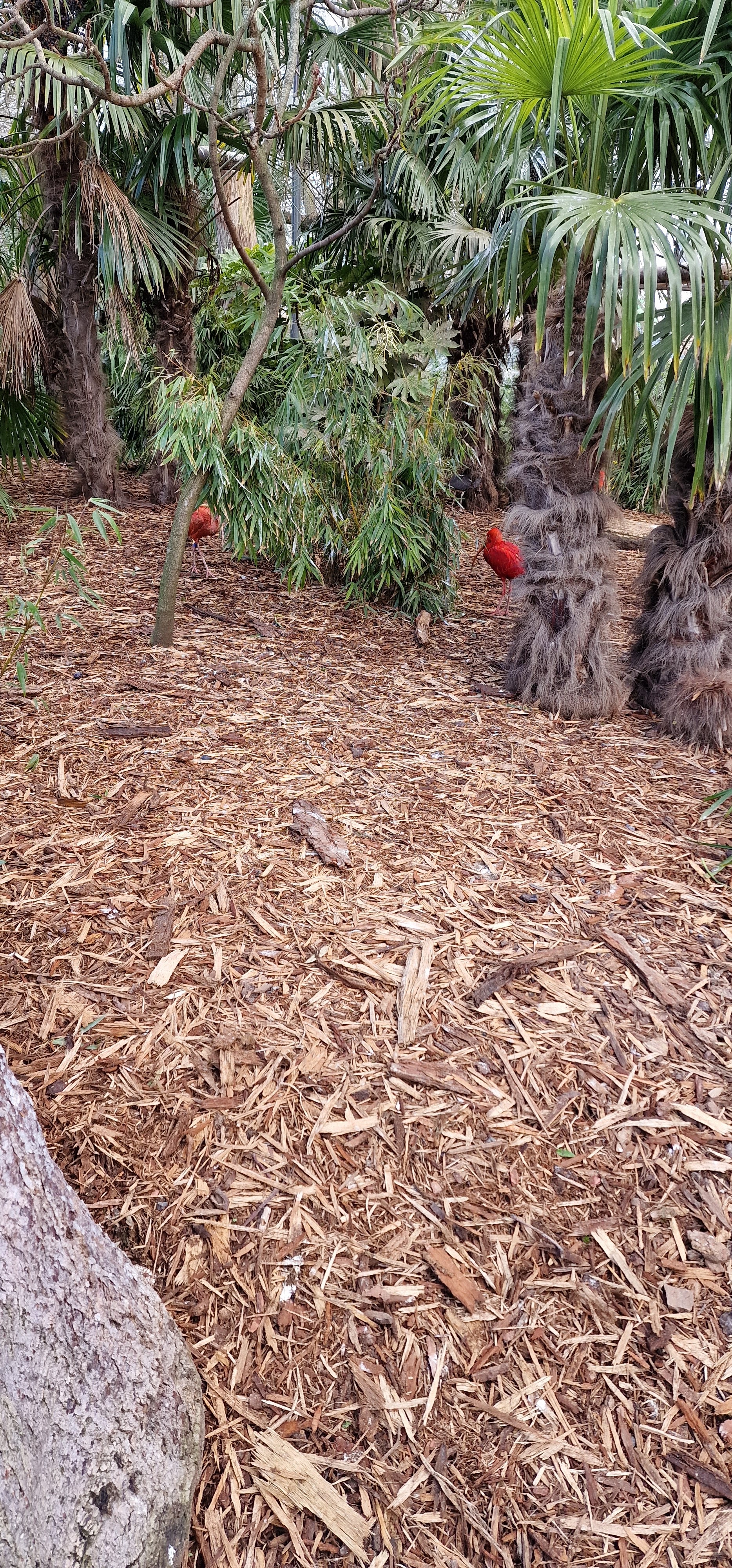 Photo n° 2 de l'avis de L. fait le 28/02/2023 à 07:29