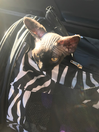 Pet Supply Store «PetSmart», reviews and photos, 10400 Southern Maryland Blvd, Dunkirk, MD 20754, USA