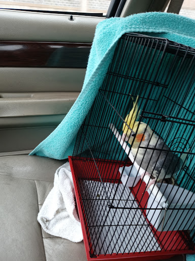 Hardware Store «Harlem Foster Hardware Inc.», reviews and photos, 7230 W Foster Ave, Chicago, IL 60656, USA