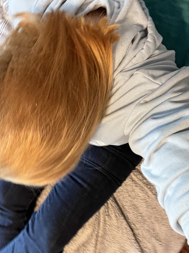 Hair Salon «Fantastic Sams Cut & Color», reviews and photos, 9975 Wadsworth Pkwy g, Westminster, CO 80021, USA