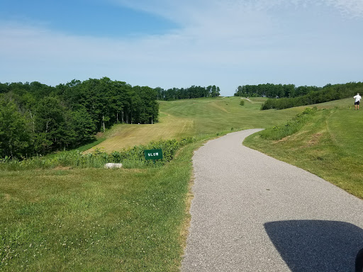 Golf Course «Champion Hill Golf Course», reviews and photos, 501 N Marshall Rd, Beulah, MI 49617, USA