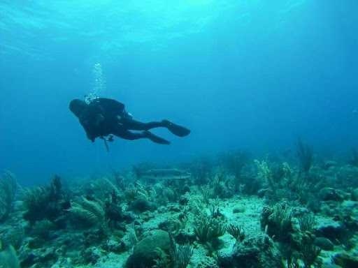 Centro De Buceo/Dive Center : Cuba Blue Diving