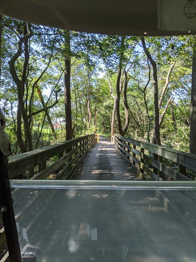 Golf Club «Cape May National Golf Club», reviews and photos, 834 Florence Avenue, Cape May, NJ 08204, USA