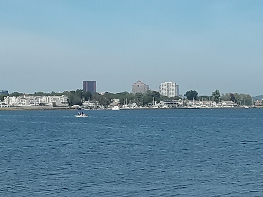 Auto Parts Store «NAPA Auto Parts - Genuine Parts Company», reviews and photos, 1260 Newfield St, Middletown, CT 06457, USA