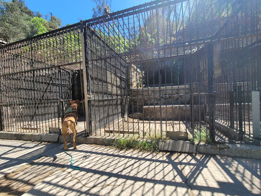 Zoo «Old Los Angeles Zoo», reviews and photos, 4801 Griffith Park Dr, Los Angeles, CA 90027, USA