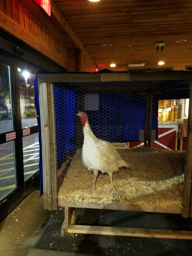 Shopping Mall «Newington Fair Shopping Ctr», reviews and photos, 3475 Berlin Turnpike, Newington, CT 06111, USA