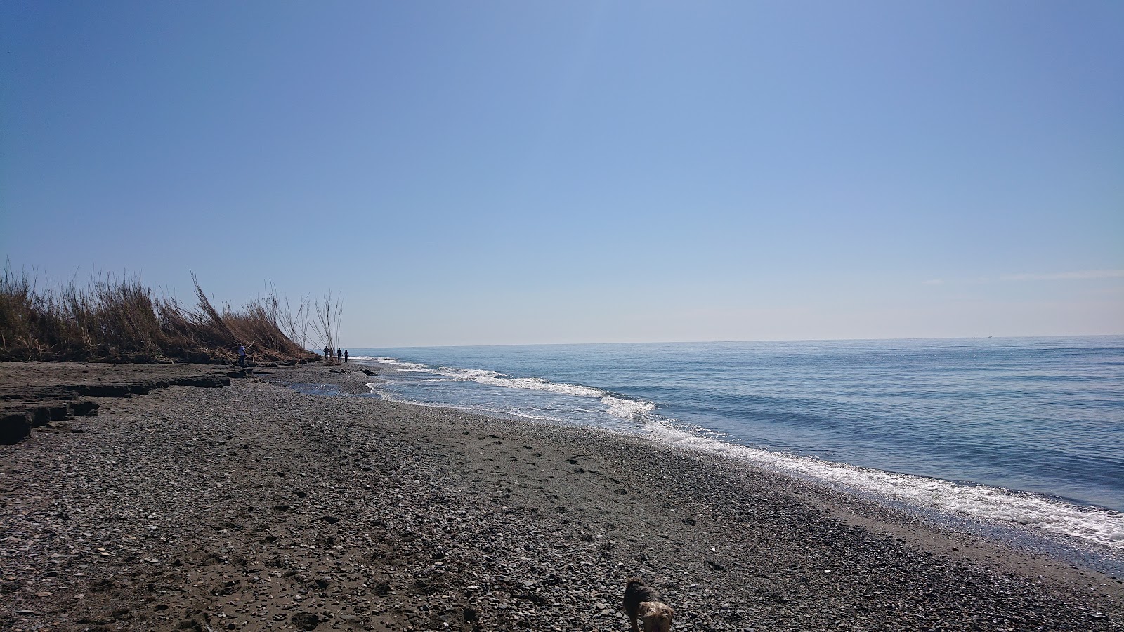 Foto af Playa Cabo Gilla beliggende i naturområde