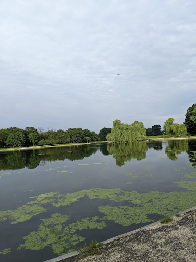 Art Museum «Art Museum of the Americas», reviews and photos, 201 18th St NW, Washington, DC 20006, USA