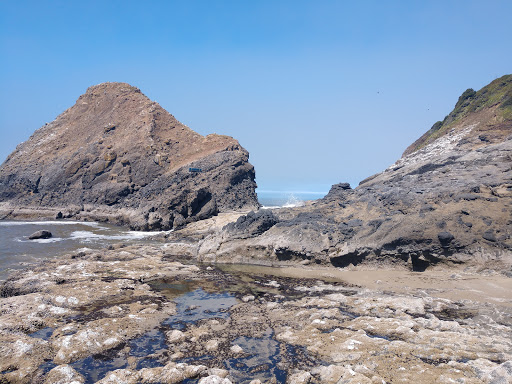 Tourist Attraction «Sea Lion Caves», reviews and photos, 91560 US-101, Florence, OR 97439, USA