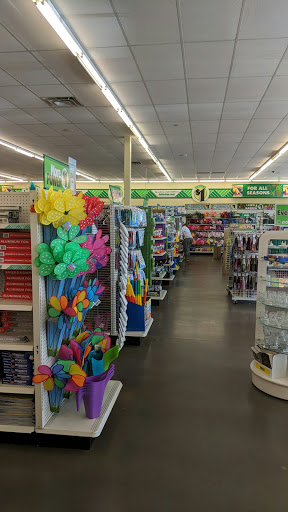 Dollar Store «Dollar Tree», reviews and photos, 2540 Apache Trail #107, Apache Junction, AZ 85120, USA