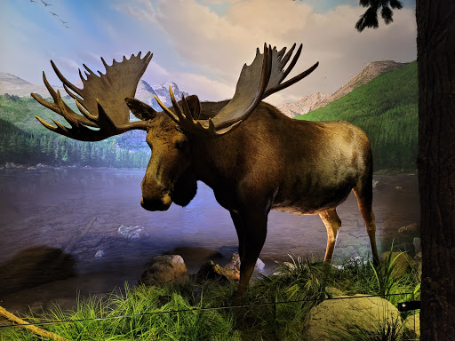 Aquarium «Wonders Of Wildlife National Museum & Aquarium», reviews and photos, 500 W Sunshine St, Springfield, MO 65807, USA