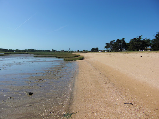 Shells Beach