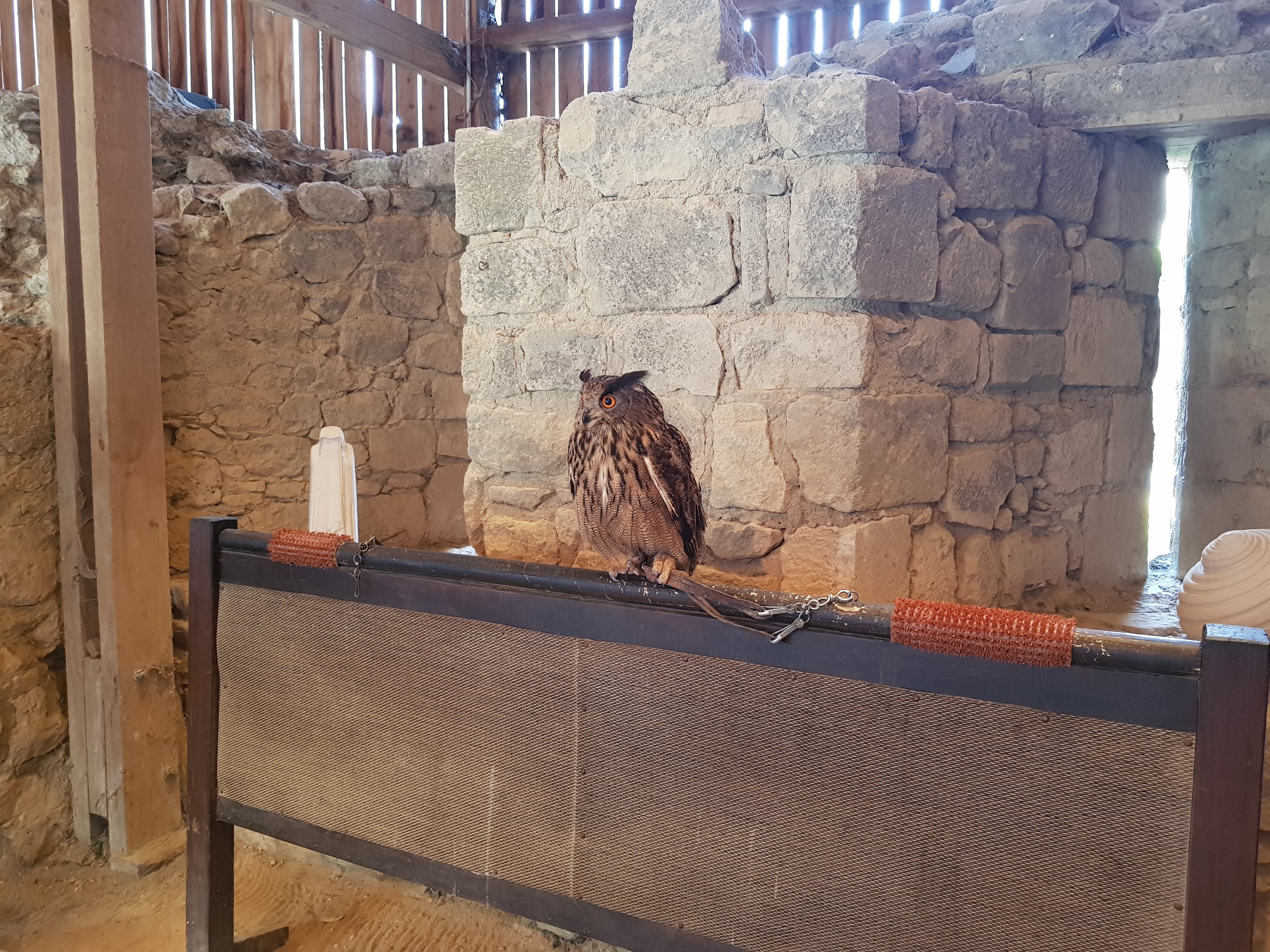 Photo n° 15 de l'avis de Alexandre.L fait le 24/09/2017 à 17:00