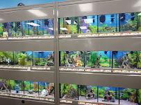 Pet Supplies Plus Ephrata - Photo 3 - Car repair in Ephrata, PA, Lancaster