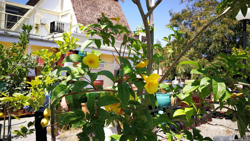 Grocery Store «Diamond Fresh Farmers Market», reviews and photos, 21168 Golden Springs Dr, Walnut, CA 91789, USA