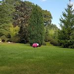 Photo n° 5 de l'avis de Jane.r fait le 12/08/2017 à 08:42 pour Manoir Desnachez à Taupont