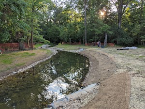 Raglan Road Park - photo 60