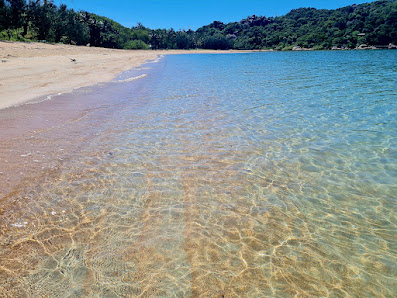Magnetic Island Seafood 1-4 Marine Parade, Arcadia QLD 4819, Australia