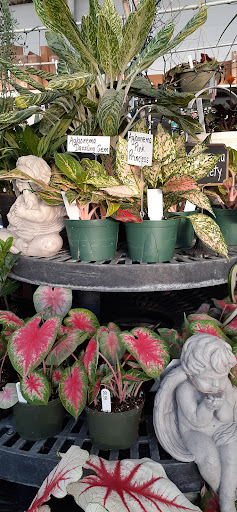 Home Improvement Store «Longeneckers True Value», reviews and photos, 127 Doe Run Rd, Manheim, PA 17545, USA