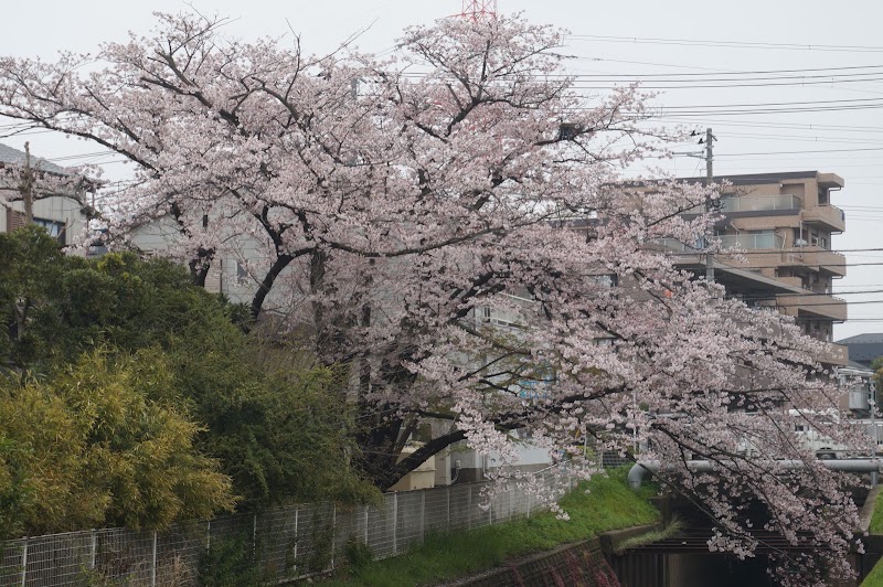 浦安市立 堀江公民館