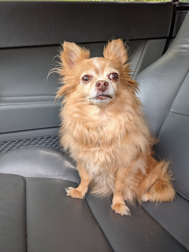 10030 Medlock Bridge Rd, Johns Creek, GA 30097, USA