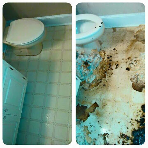 Cleaning Service «Expert Cleaning Concepts, INC», reviews and photos, 1550 Opelika Rd #6, Auburn, AL 36830, USA