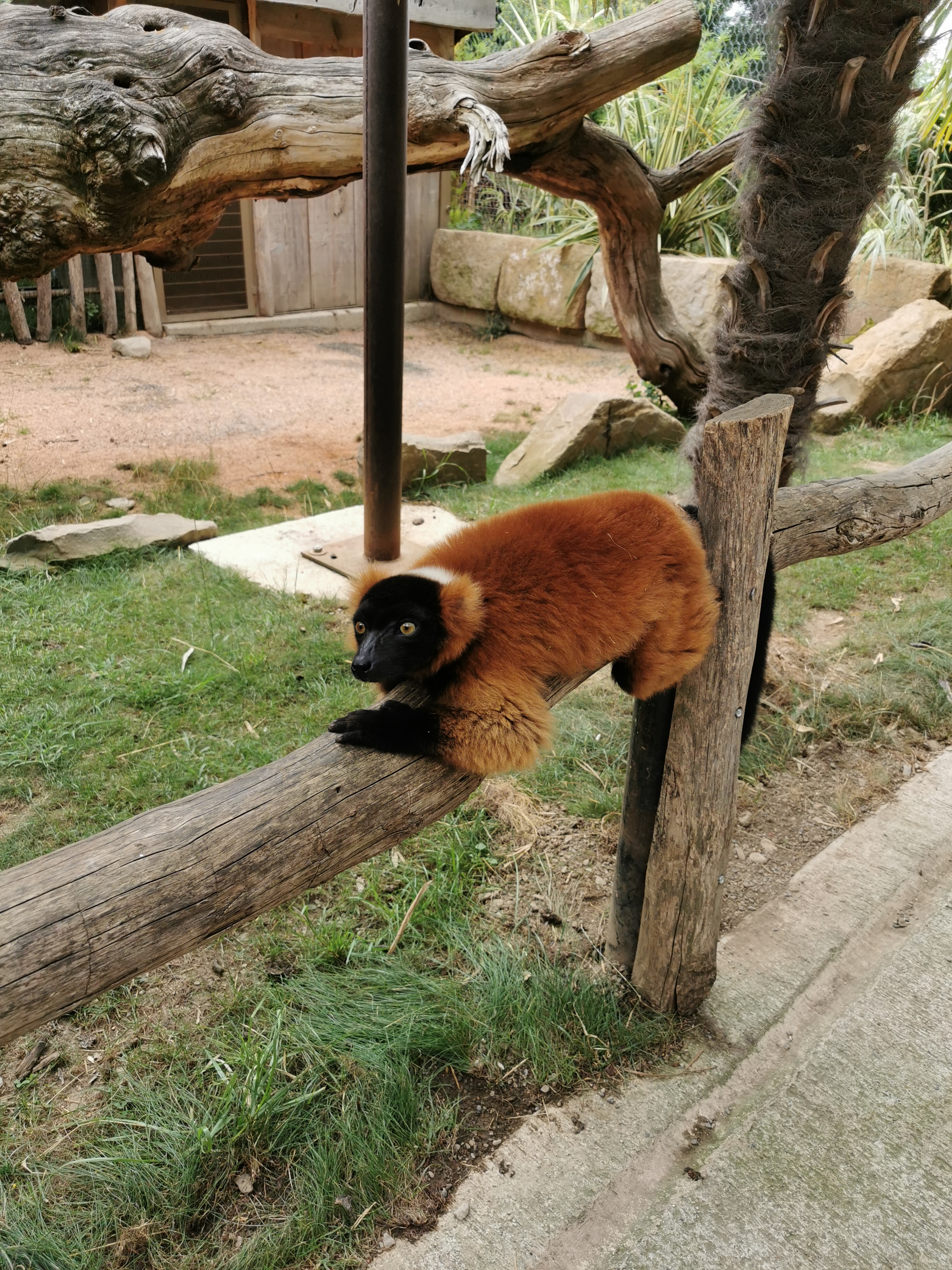 Photo n° 3 de l'avis de Axantiu. fait le 14/03/2021 à 10:18