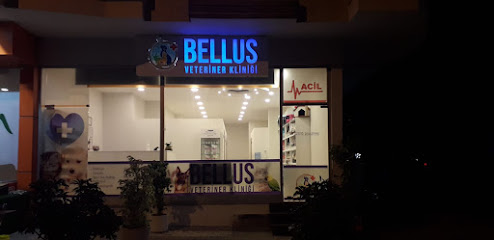 Bellus veteriner kliniği