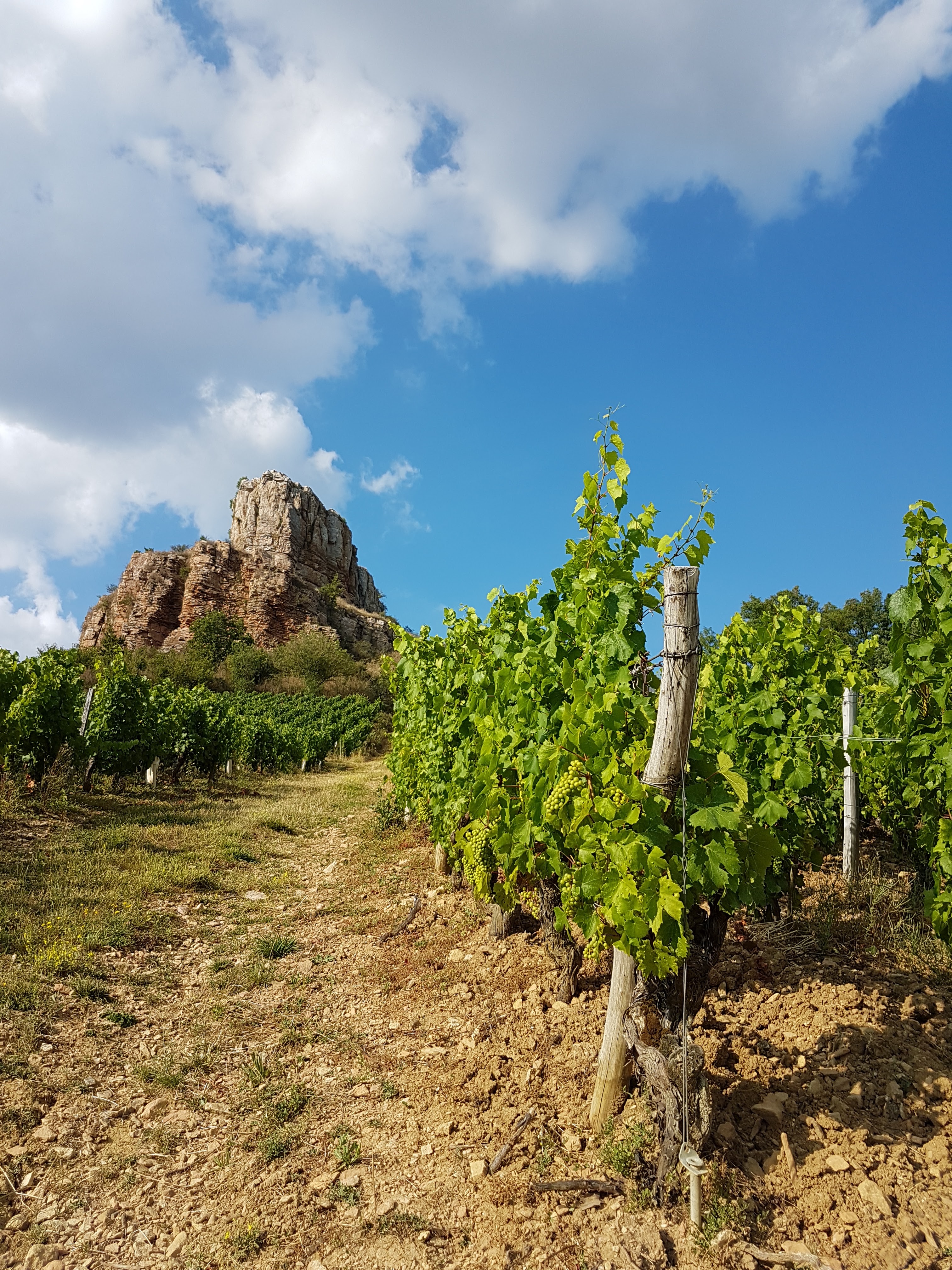 Photo n° 2 de l'avis de Melanie.A fait le 25/07/2018 à 11:02