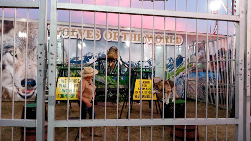 Motorcycle Dealer «Space Coast Harley-Davidson», reviews and photos, 1440 Sportsman Ln NE, Palm Bay, FL 32905, USA