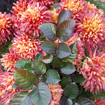 Photo n°1 de l'avis de Carmelo.a fait le 31/12/2019 à 16:28 sur le  Holiday Inn Gênes à Genoa