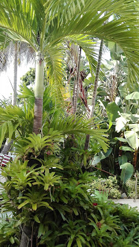 Spa Skin Professionals & Assts. - Photo 6 - Car repair in Bayamón, Puerto Rico, Bayamón