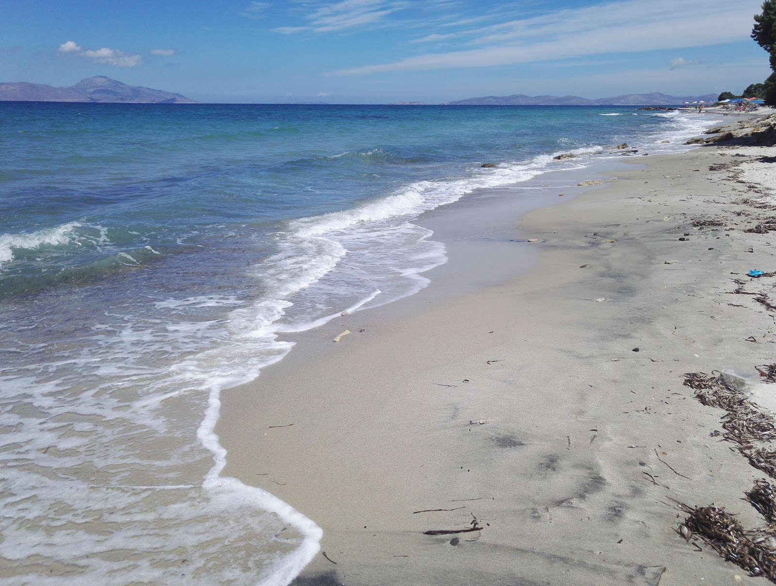 Photo of Dolphin Bay with partly clean level of cleanliness