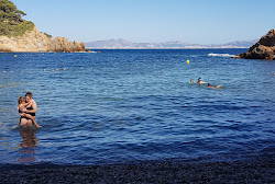 Plage de la Calanque des Figuieres'in fotoğrafı vahşi alan