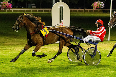 Hippodrome de Luxé à Luxé
