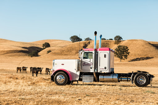 Premier Ag Inc image