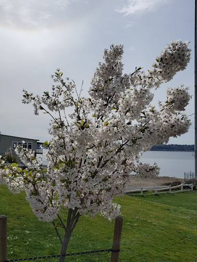 Park «Browns Point Light House Park», reviews and photos, 201 Tulalip St NE, Tacoma, WA 98422, USA