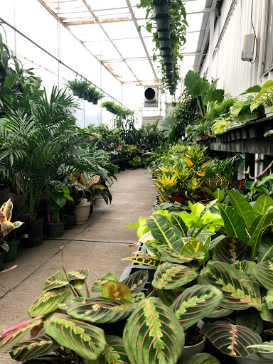 Hardware Store «Payless Hardware, Rockery and Nursery», reviews and photos, 2927 King Rd, San Jose, CA 95122, USA