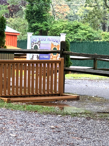 Tourist Attraction «Tree To Tree Cape May», reviews and photos, 707 U.S. 9, Cape May Court House, NJ 08210, USA