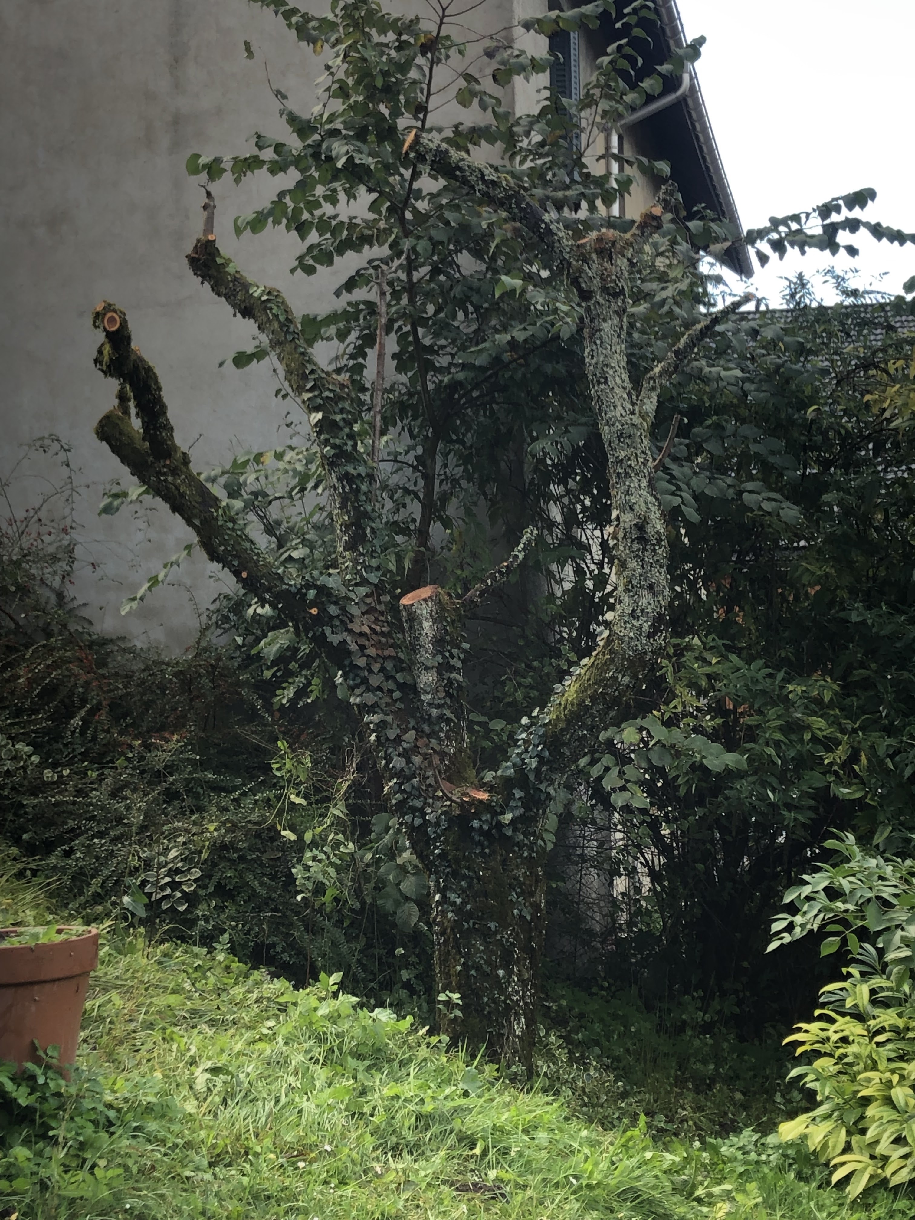 Photo n° 5 de l'avis de Rob.o fait le 27/10/2023 à 13:30