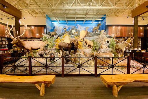 Outdoor Sports Store «Field & Stream», reviews and photos, 10351 Innovation Drive, Miamisburg, OH 45342, USA