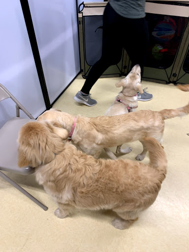 Pet Supply Store «Petco Animal Supplies», reviews and photos, 340 Grasmere Ave, Fairfield, CT 06824, USA