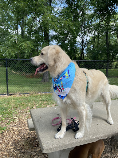 Park «Schappacher Park», reviews and photos, 4686 Old Irwin Simpson Rd, Mason, OH 45040, USA