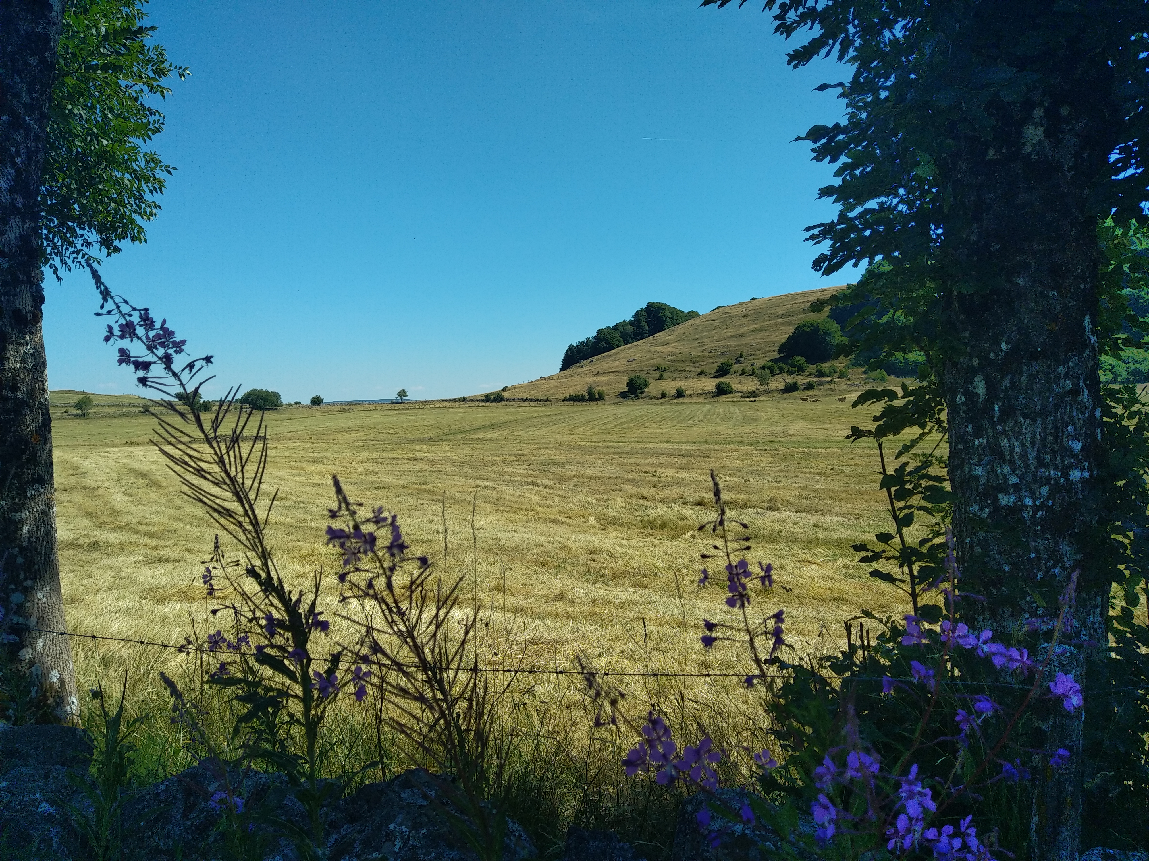 Photo n° 28 de l'avis de Julien.a fait le 14/07/2022 à 19:44