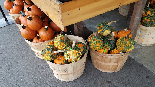 Produce Market «Idylwilde Farms», reviews and photos, 366 Central St, Acton, MA 01720, USA