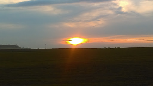 Pet Supply Store «PetSmart», reviews and photos, 4013 Wisconsin 28, Kohler, WI 53081, USA